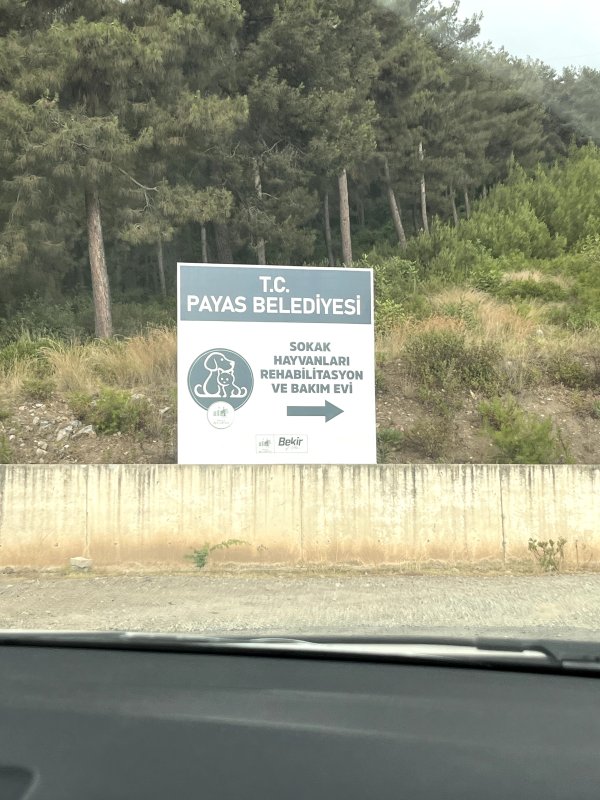 Payas Belediyesi Sokak Hayvanları Rehabilitasyon ve Bakım Evi - Ar Yapı İnşaat Projesi Galeri Fotoğrafı